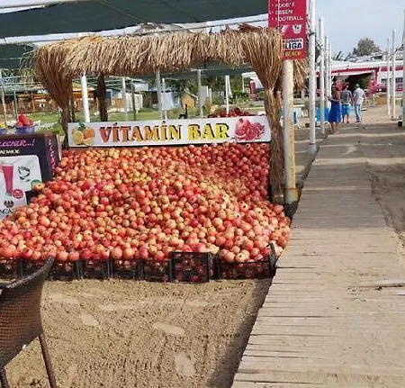 Babylon Beach סייד